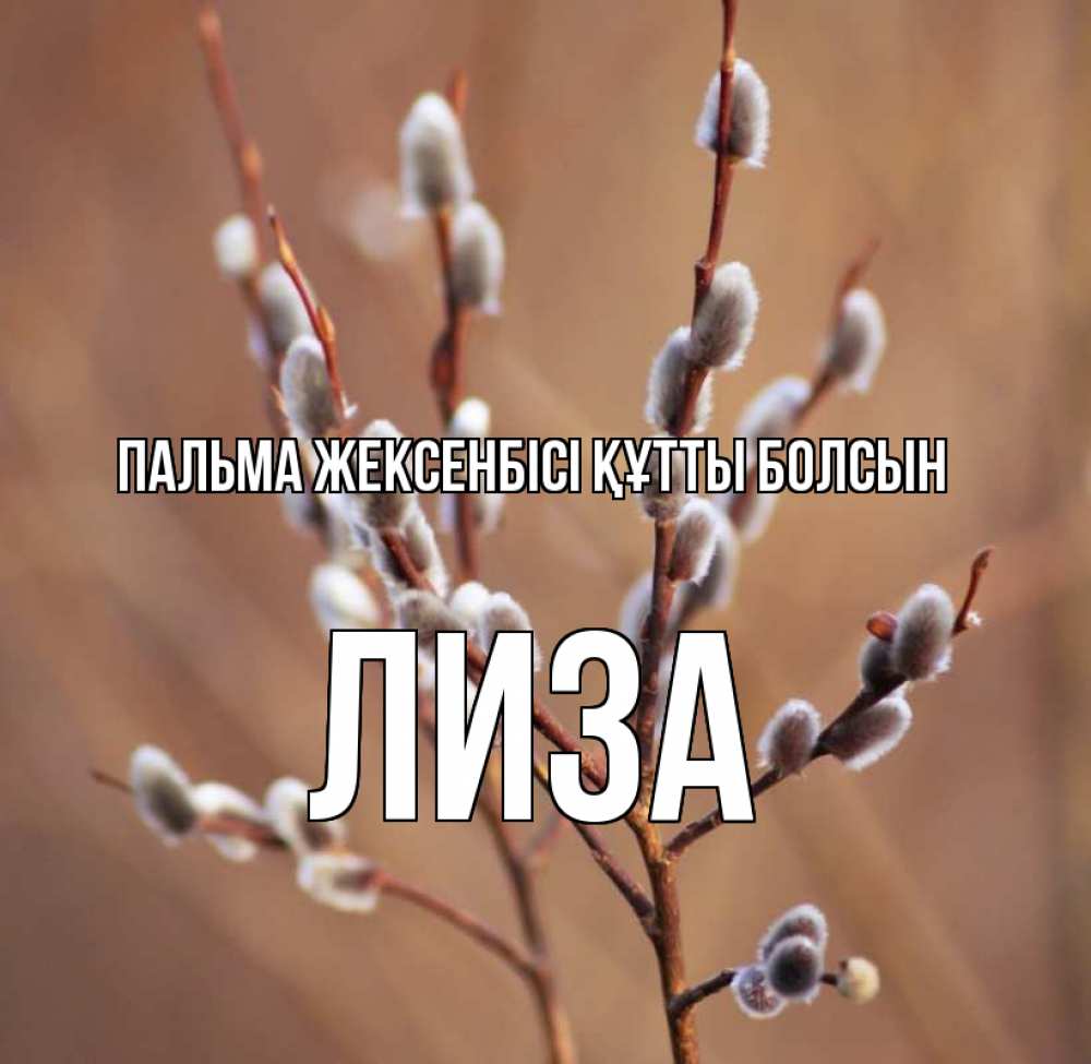 Күн сайын ашық хат с именем, Лиза Пальма жексенбісі құтты болсын верба Онлайн тегін жүктеп алу тілектері бар керемет карта 