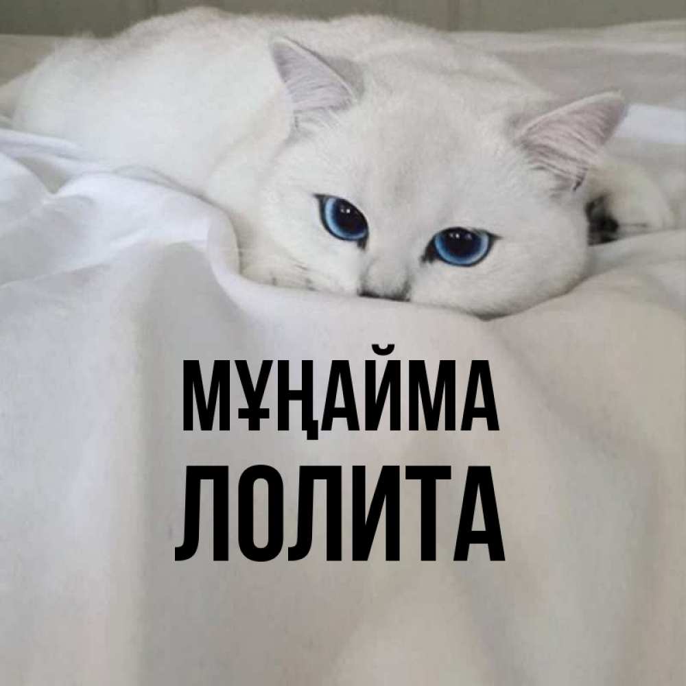 Күн сайын ашық хат с именем, Лолита Мұңайма Голубоглазая кошка Онлайн тегін жүктеп алу тілектері бар керемет карта 