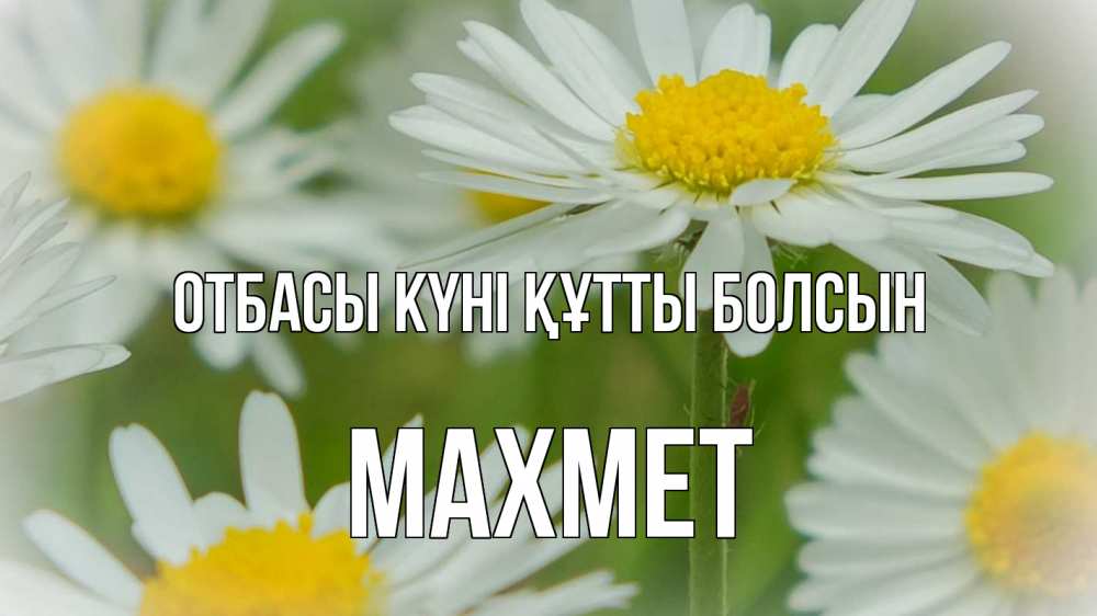 Күн сайын ашық хат с именем, МАХМЕТ отбасы күні құтты болсын с днем семьи  1 Онлайн тегін жүктеп алу тілектері бар керемет карта 