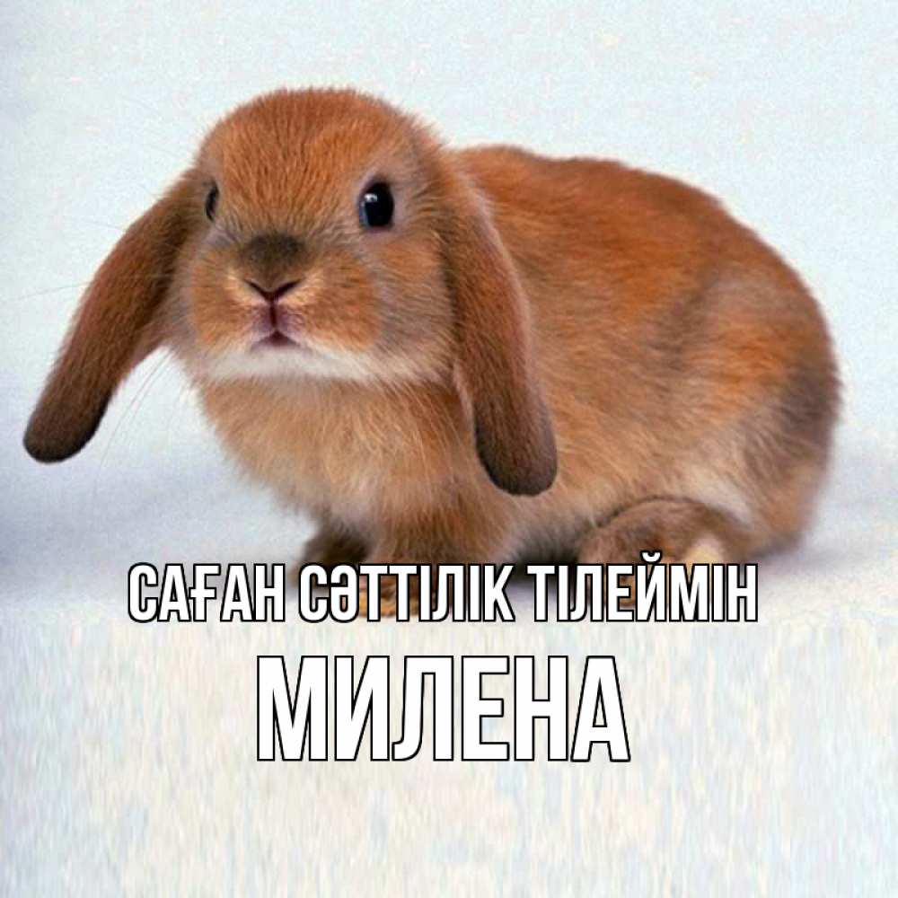 Күн сайын ашық хат с именем, Милена Саған сәттілік тілеймін вставить текст в открытку по выбору Онлайн тегін жүктеп алу тілектері бар керемет карта 