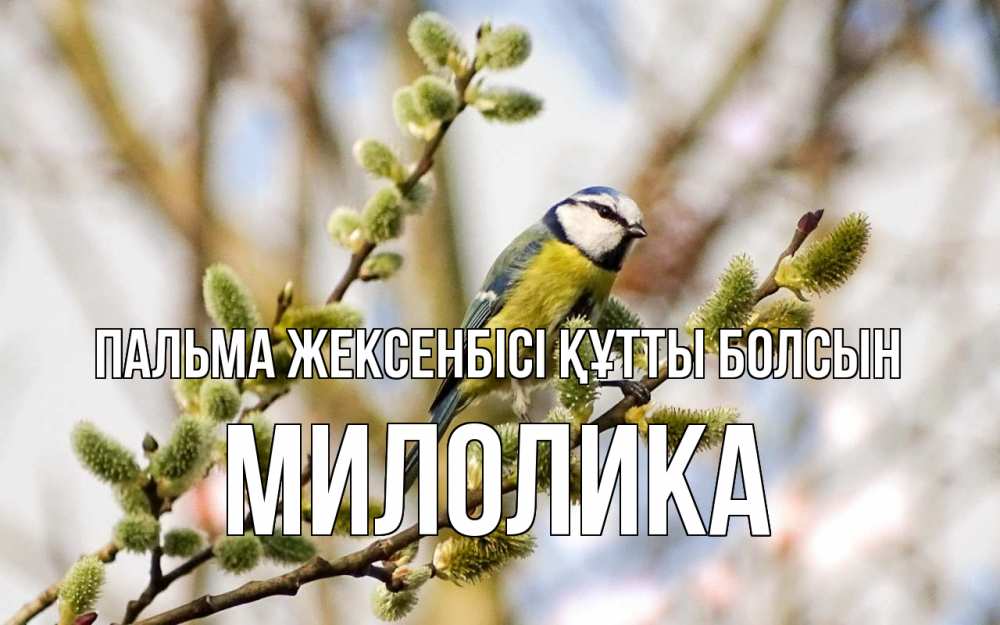 Күн сайын ашық хат с именем, Милолика Пальма жексенбісі құтты болсын верба Онлайн тегін жүктеп алу тілектері бар керемет карта 