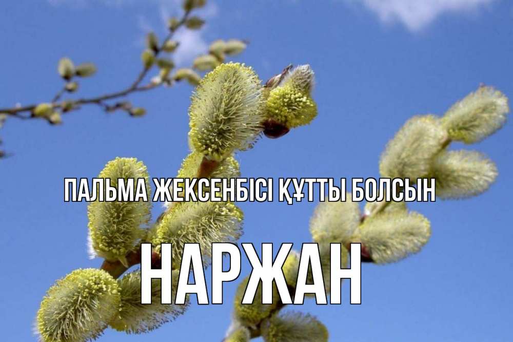 Күн сайын ашық хат с именем, Наржан Пальма жексенбісі құтты болсын верба Онлайн тегін жүктеп алу тілектері бар керемет карта 