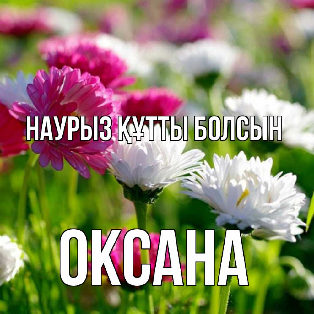 Күн сайын ашық хат с именем, Оксана Наурыз құтты болсын наурыз Онлайн тегін жүктеп алу тілектері бар керемет карта 