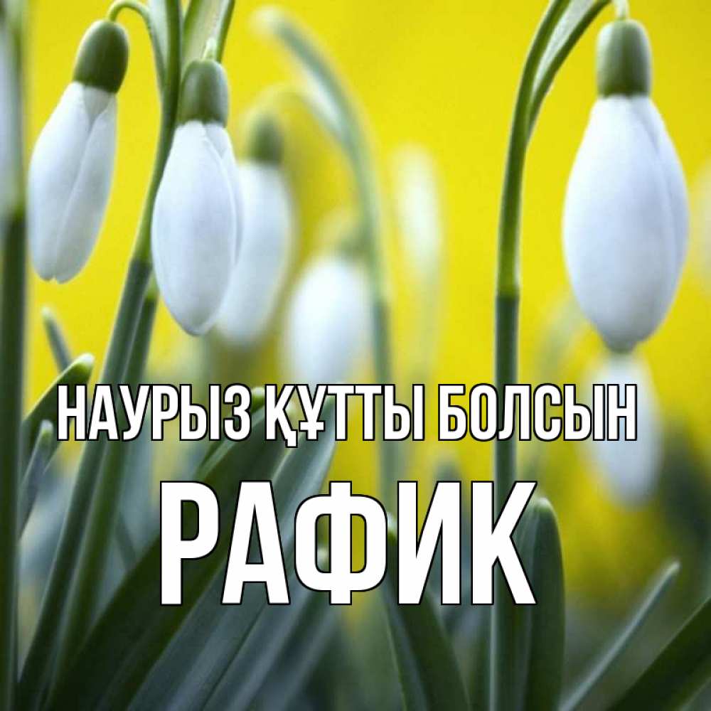 Күн сайын ашық хат с именем, РАФИК Наурыз құтты болсын весенние цветы Онлайн тегін жүктеп алу тілектері бар керемет карта 