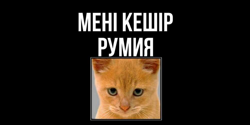 Күн сайын ашық хат с именем, Румия Мені кешір рыжий грустный кот просит прощения Онлайн тегін жүктеп алу тілектері бар керемет карта 