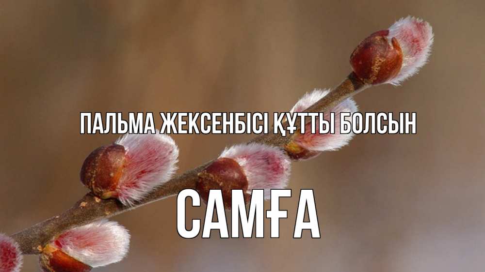 Күн сайын ашық хат с именем, САМҒА Пальма жексенбісі құтты болсын верба Онлайн тегін жүктеп алу тілектері бар керемет карта 