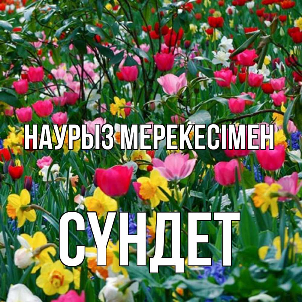 Күн сайын ашық хат с именем, СҮНДЕТ Наурыз мерекесімен с наурызом праздником весны поздравления для женщины Онлайн тегін жүктеп алу тілектері бар керемет карта 