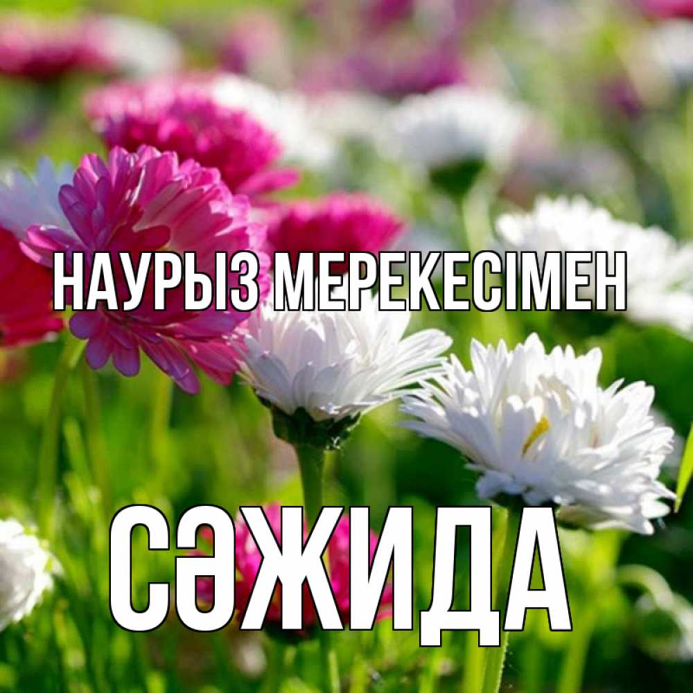 Күн сайын ашық хат с именем, СӘЖИДА Наурыз мерекесімен праздник весны наурыз красота Онлайн тегін жүктеп алу тілектері бар керемет карта 