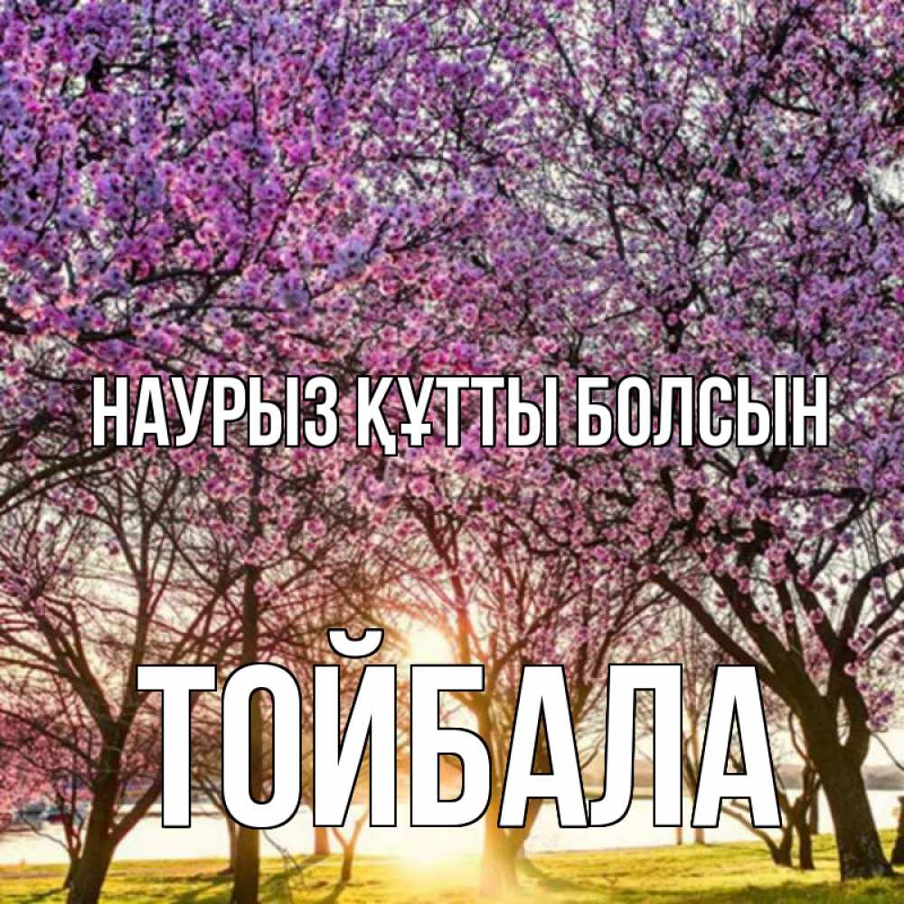 Күн сайын ашық хат с именем, ТОЙБАЛА Наурыз құтты болсын наурыз Онлайн тегін жүктеп алу тілектері бар керемет карта 