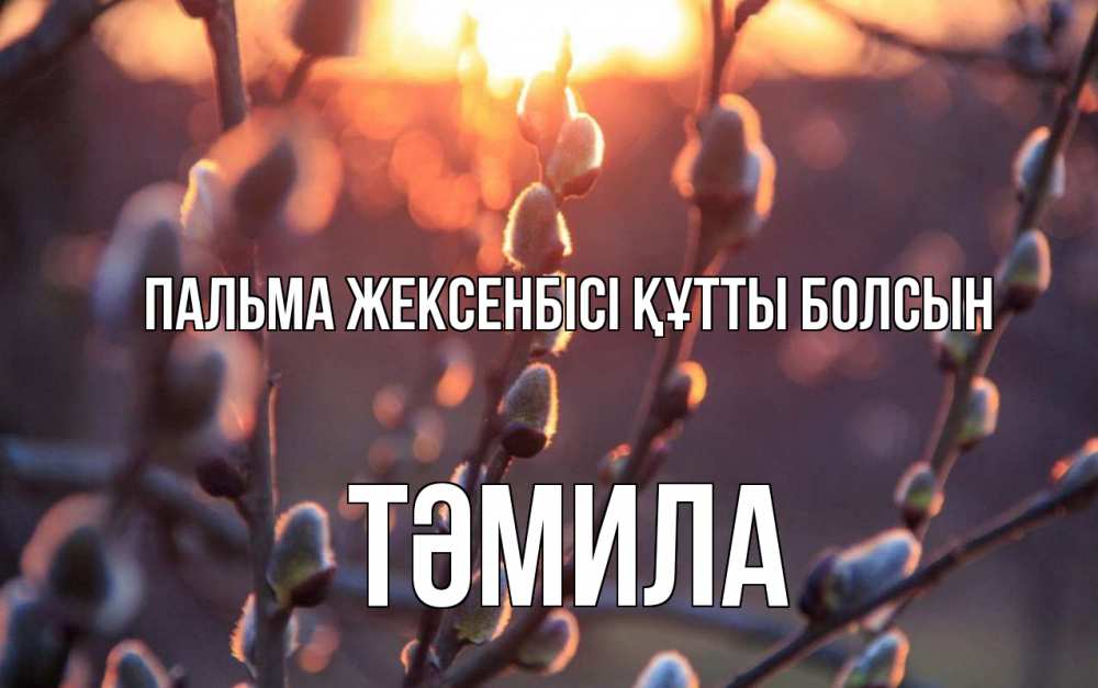 Күн сайын ашық хат с именем, ТӘМИЛА Пальма жексенбісі құтты болсын верба Онлайн тегін жүктеп алу тілектері бар керемет карта 