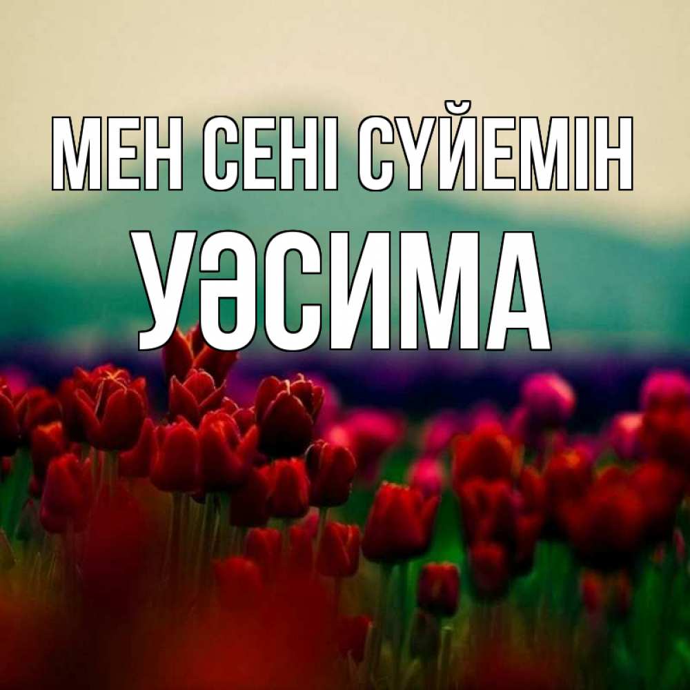 Күн сайын ашық хат с именем, УӘСИМА Мен сені сүйемін тюльпаны 4 Онлайн тегін жүктеп алу тілектері бар керемет карта 
