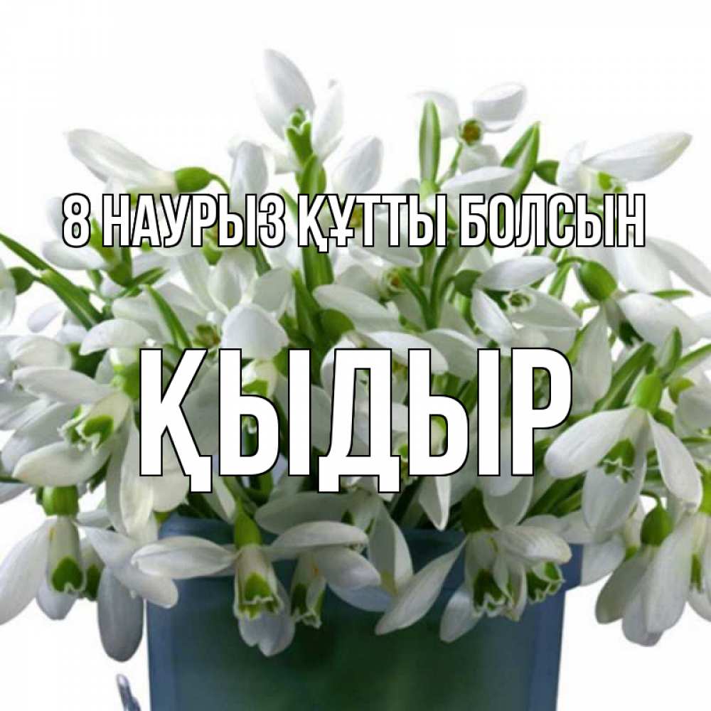 Күн сайын ашық хат с именем, ҚЫДЫР 8 наурыз құтты болсын цветы к международному женскому дню Онлайн тегін жүктеп алу тілектері бар керемет карта 