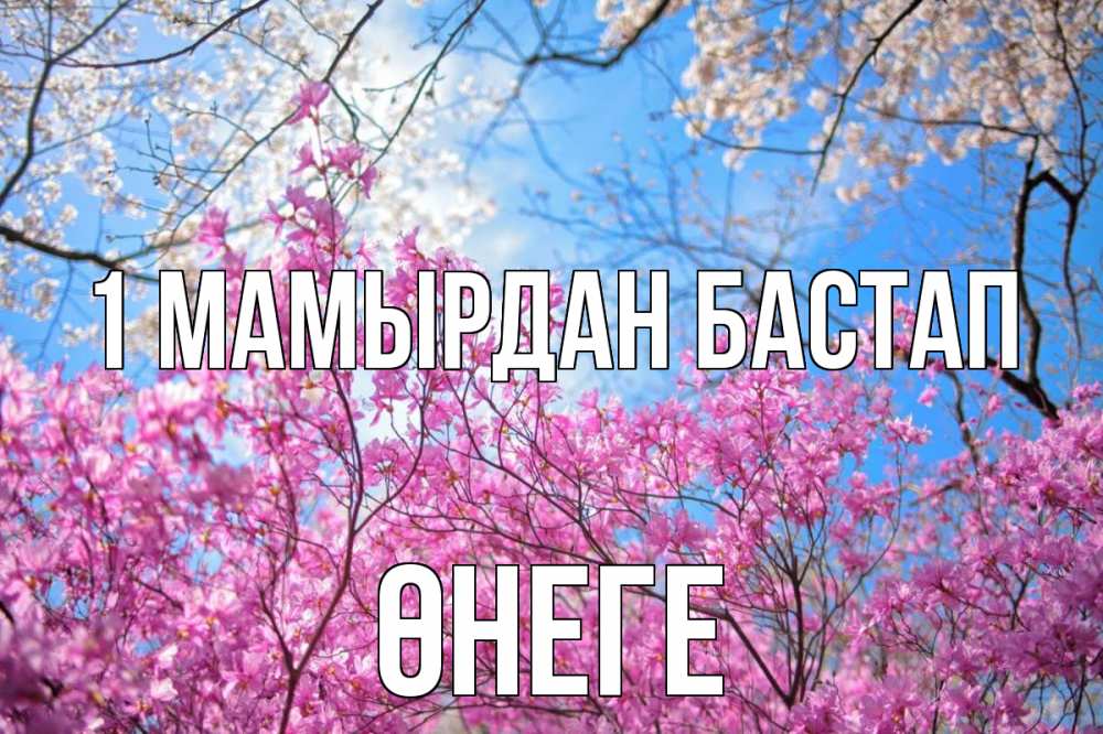 Күн сайын ашық хат с именем, ӨНЕГЕ 1 мамырдан бастап С 1 мая Онлайн тегін жүктеп алу тілектері бар керемет карта 