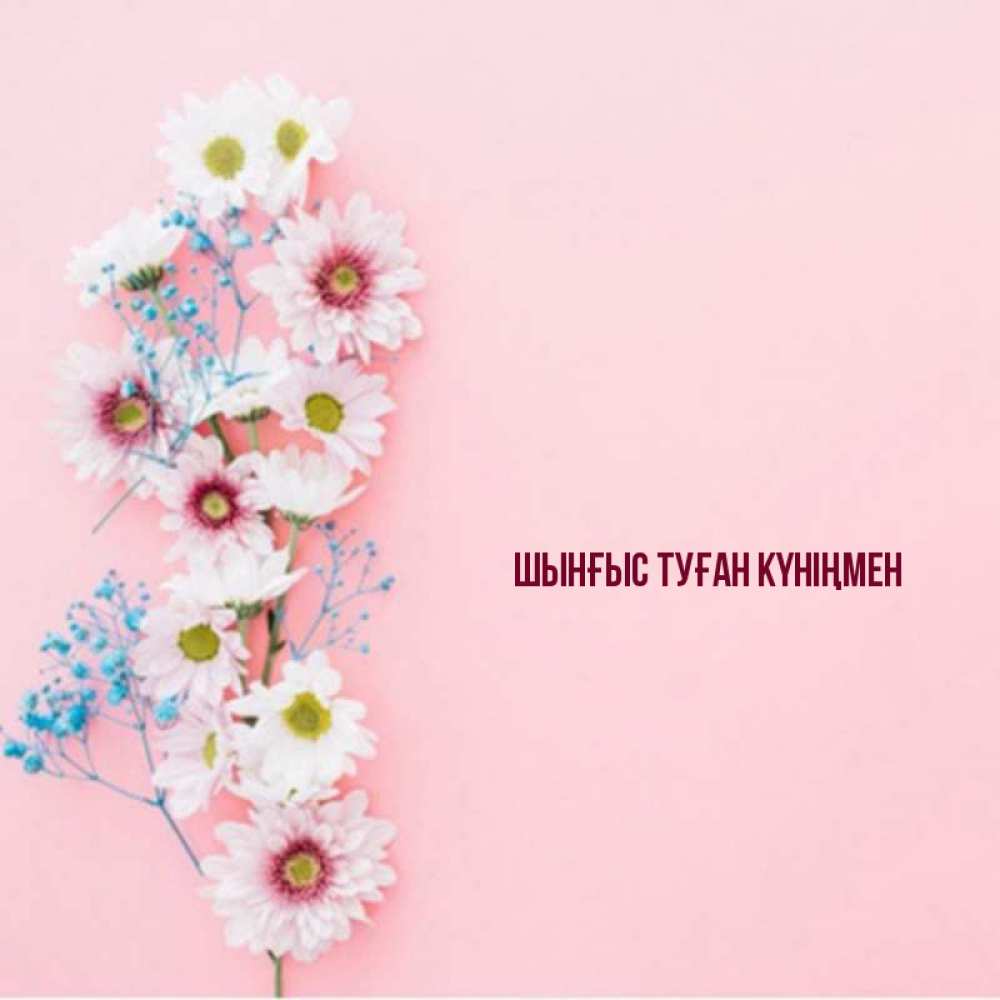 Картинка  с именем , ШЫНҒЫС! ТУҒАН КҮНІҢМЕН!