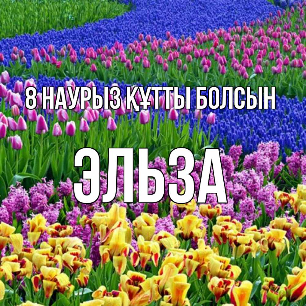 Күн сайын ашық хат с именем, Эльза 8 наурыз құтты болсын цветы Онлайн тегін жүктеп алу тілектері бар керемет карта 