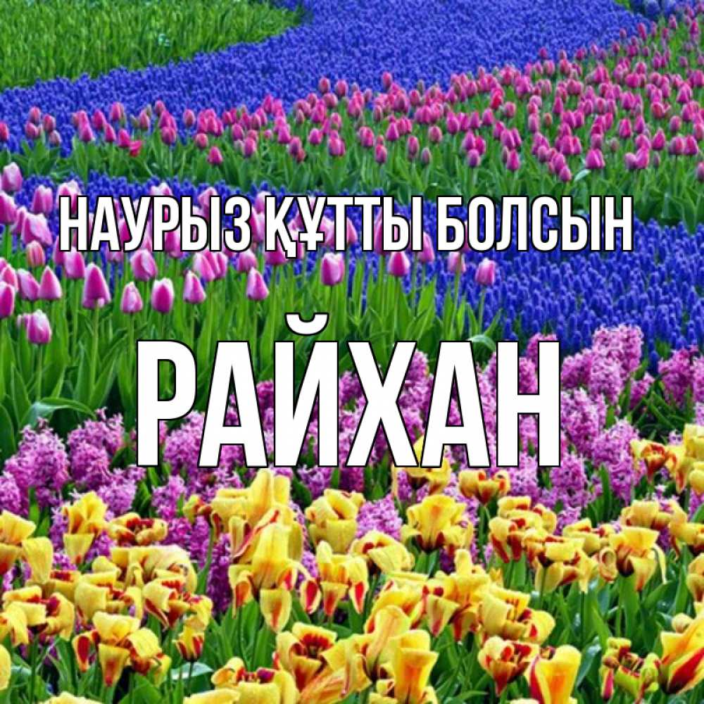 Күн сайын ашық хат с именем, РАЙХАН Наурыз құтты болсын цветы Онлайн тегін жүктеп алу тілектері бар керемет карта 