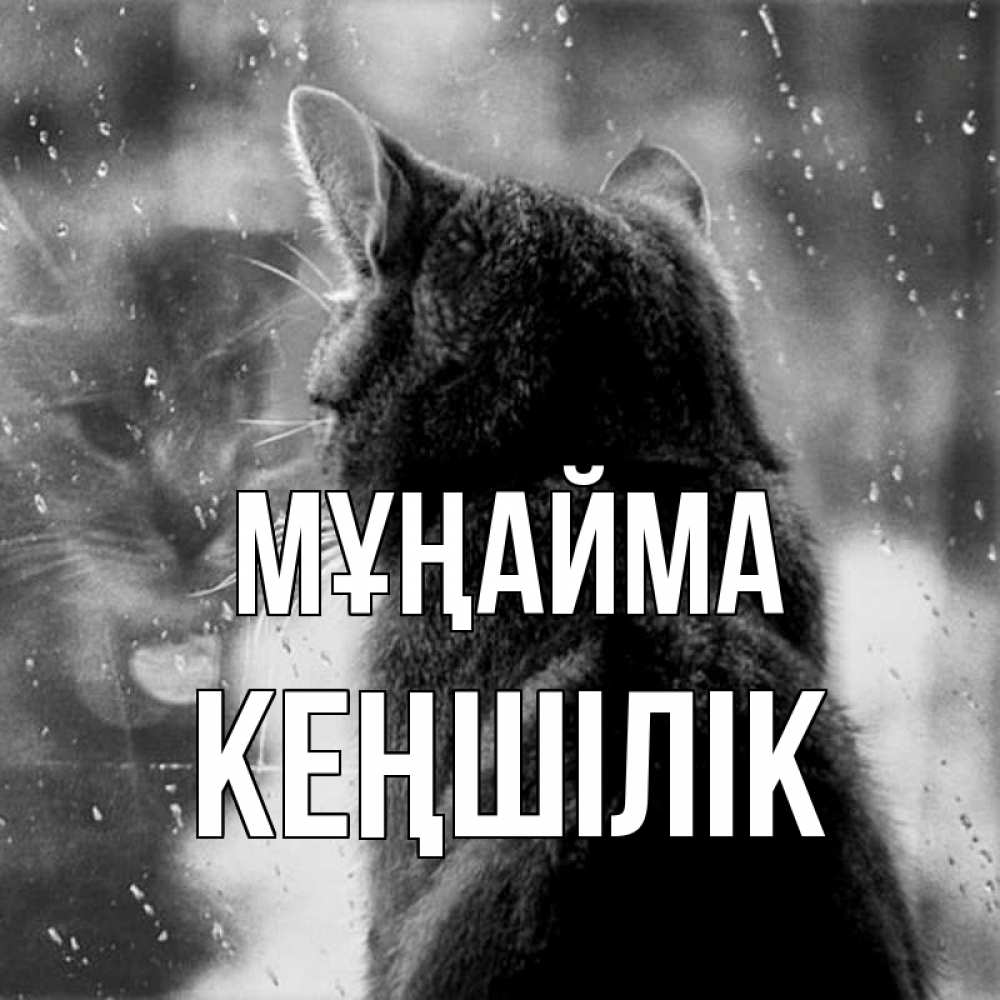Күн сайын ашық хат с именем, Кеңшілік Мұңайма отражение кота 1 Онлайн тегін жүктеп алу тілектері бар керемет карта 
