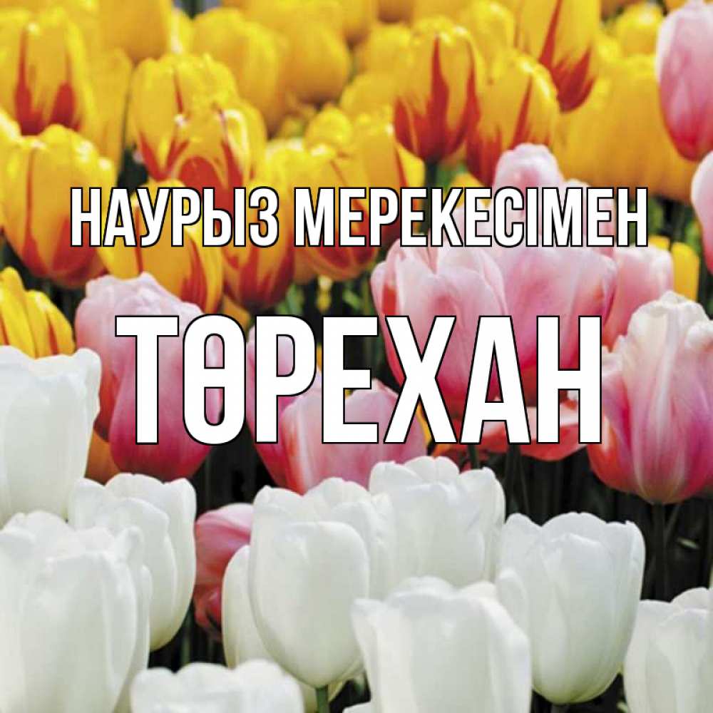 Күн сайын ашық хат с именем, Төрехан Наурыз мерекесімен разноцветные цветы Онлайн тегін жүктеп алу тілектері бар керемет карта 
