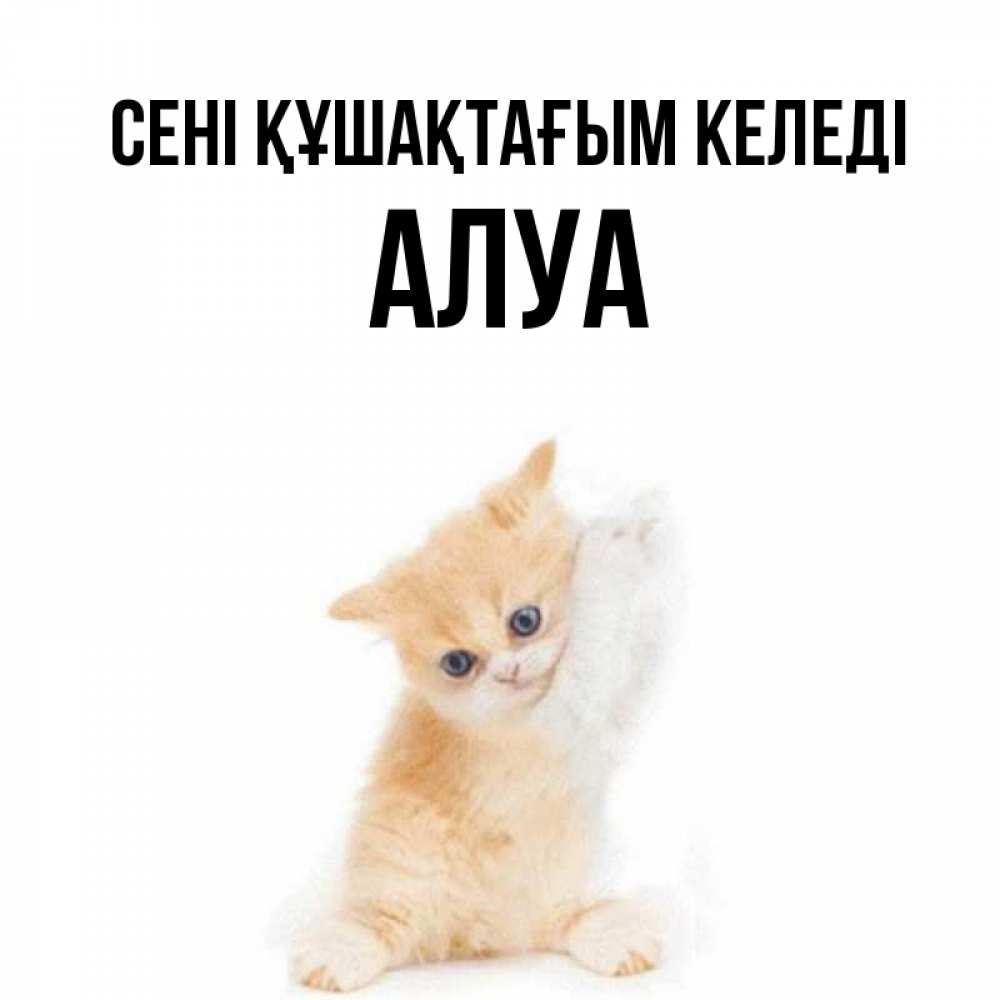 Күн сайын ашық хат с именем, АЛУА сені құшақтағым келеді я хочу очень скорее обнимаешек Онлайн тегін жүктеп алу тілектері бар керемет карта 