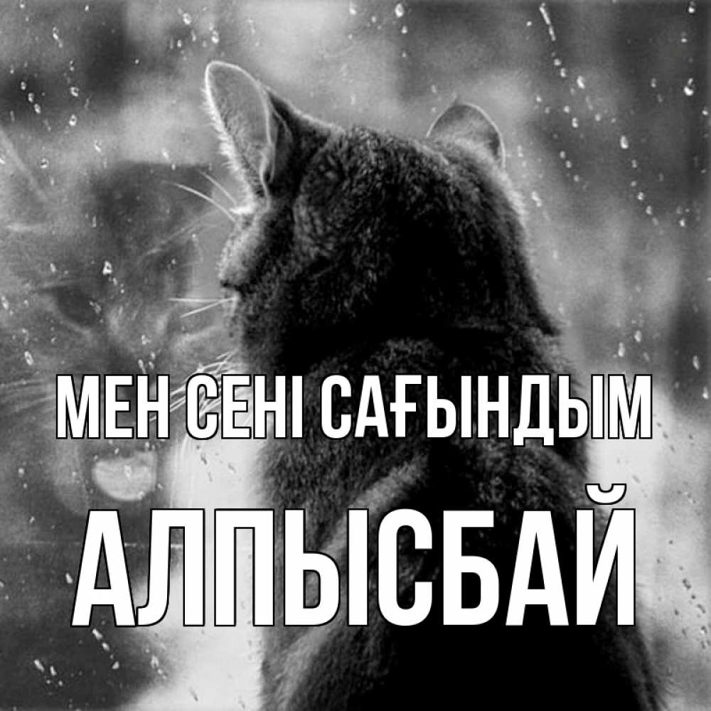 Күн сайын ашық хат с именем, Алпысбай Мен сені сағындым скорее ко мне приходи 1 Онлайн тегін жүктеп алу тілектері бар керемет карта 