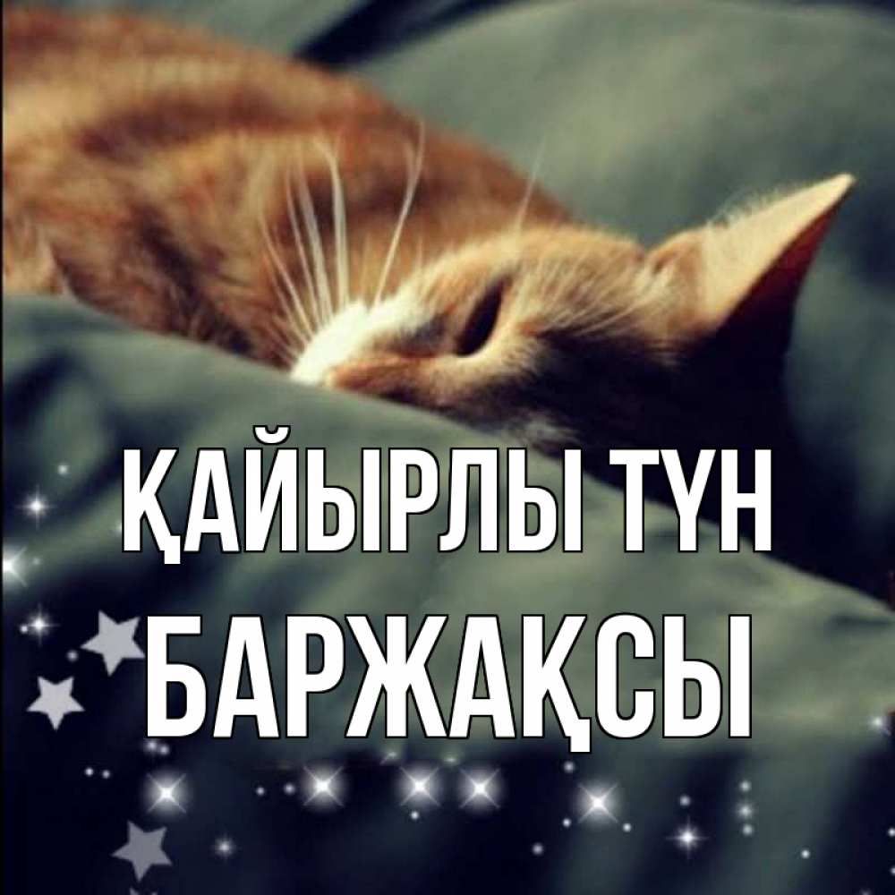 Күн сайын ашық хат с именем, Баржақсы Қайырлы түн кроватка Онлайн тегін жүктеп алу тілектері бар керемет карта 