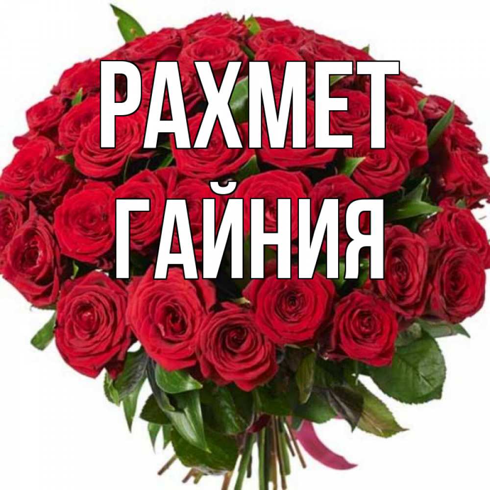 Күн сайын ашық хат с именем, ГАЙНИЯ рахмет букет красных роз Онлайн тегін жүктеп алу тілектері бар керемет карта 