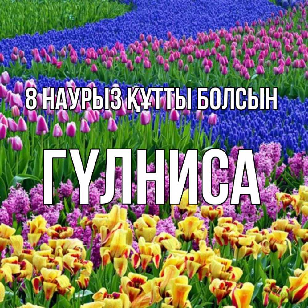 Күн сайын ашық хат с именем, ГҮЛНИСА 8 наурыз құтты болсын цветы Онлайн тегін жүктеп алу тілектері бар керемет карта 