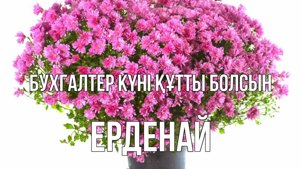 Күн сайын ашық хат с именем, Ерденай бухгалтер күні құтты болсын с днем бухгалтера Онлайн тегін жүктеп алу тілектері бар керемет карта 