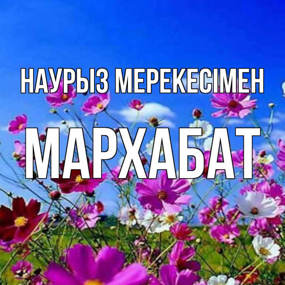 Күн сайын ашық хат с именем, МАРХАБАТ Наурыз мерекесімен цветы Онлайн тегін жүктеп алу тілектері бар керемет карта 