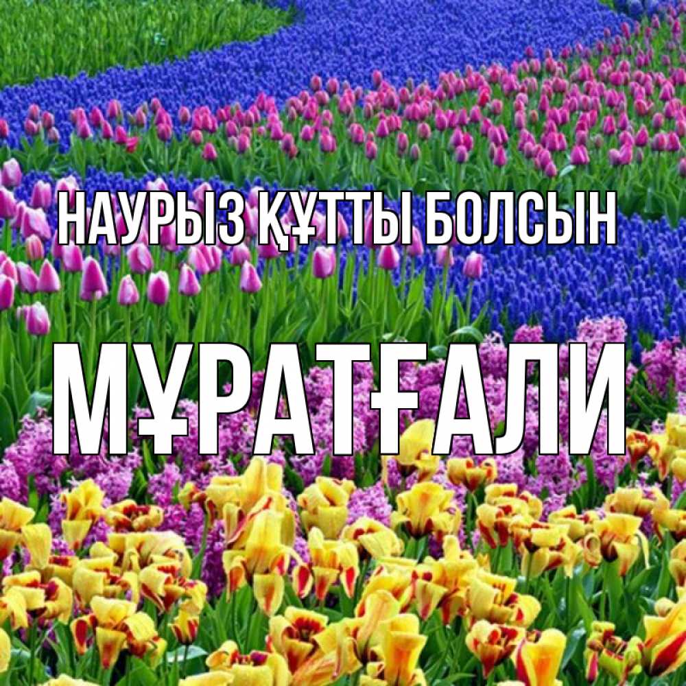 Күн сайын ашық хат с именем, Мұратғали Наурыз құтты болсын цветы Онлайн тегін жүктеп алу тілектері бар керемет карта 