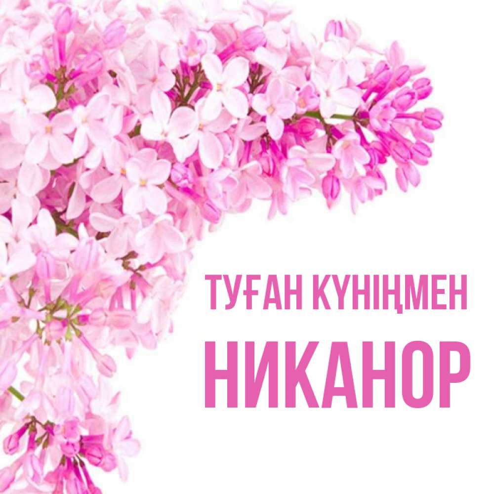 Күн сайын ашық хат с именем, Никанор Туған күніңмен Сирень на белом фоне Онлайн тегін жүктеп алу тілектері бар керемет карта 