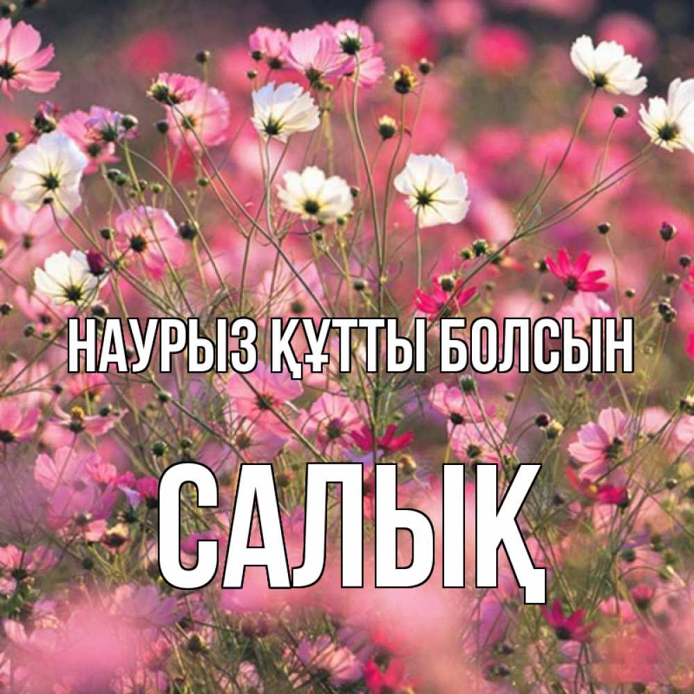 Күн сайын ашық хат с именем, САЛЫҚ Наурыз құтты болсын красиво 1 Онлайн тегін жүктеп алу тілектері бар керемет карта 
