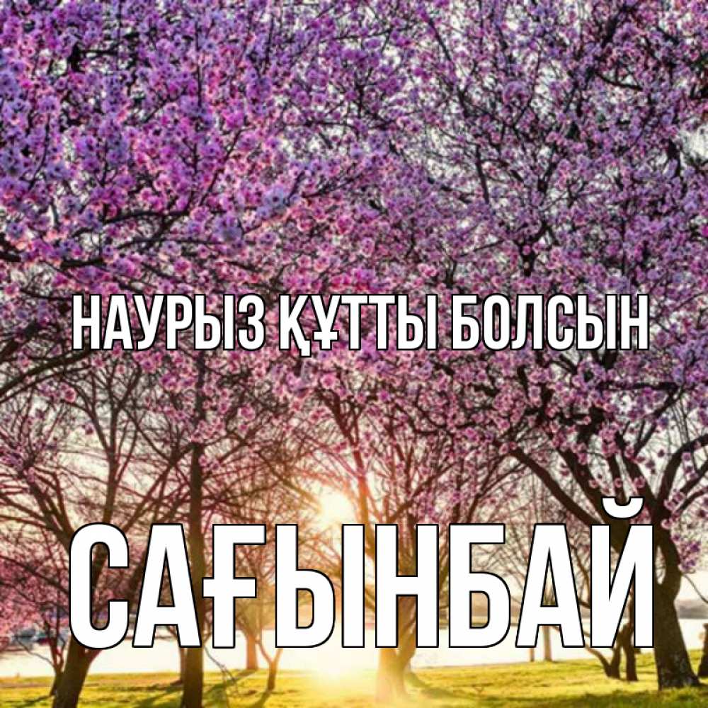 Күн сайын ашық хат с именем, Сағынбай Наурыз құтты болсын наурыз Онлайн тегін жүктеп алу тілектері бар керемет карта 