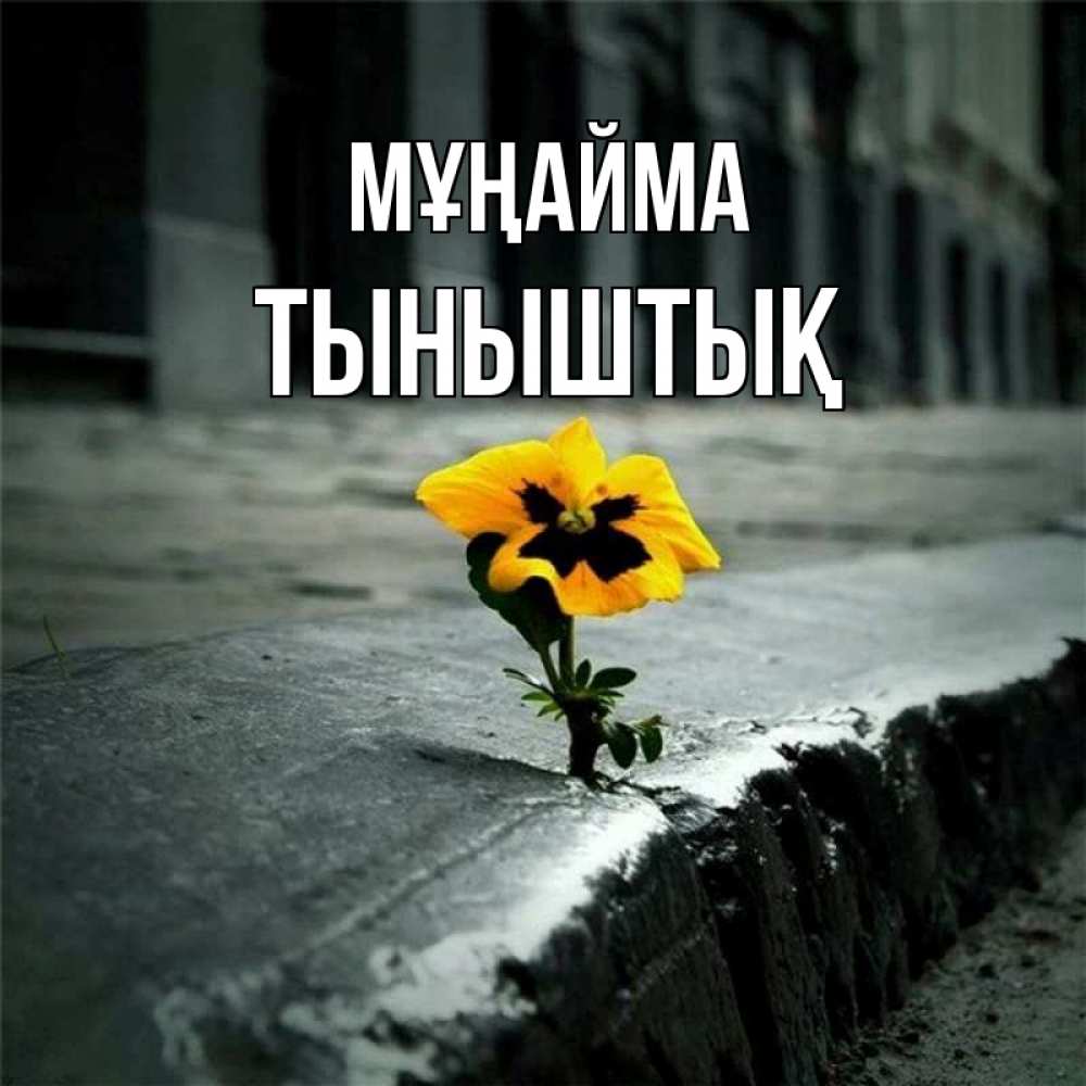 Күн сайын ашық хат с именем, ТЫНЫШТЫҚ Мұңайма не сдавайся Онлайн тегін жүктеп алу тілектері бар керемет карта 