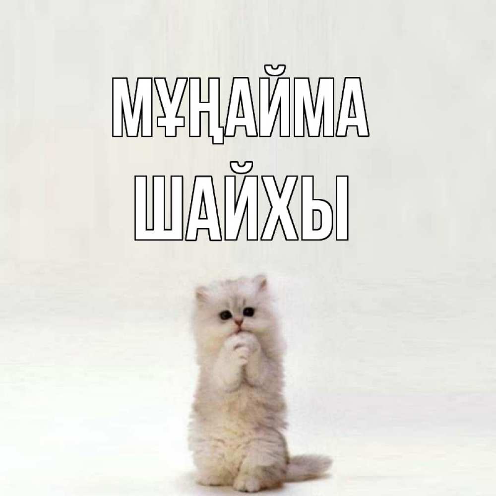 Күн сайын ашық хат с именем, ШАЙХЫ Мұңайма грустный кот Онлайн тегін жүктеп алу тілектері бар керемет карта 