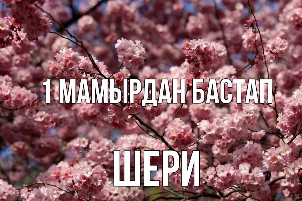 Күн сайын ашық хат с именем, ШЕРИ 1 мамырдан бастап С 1 мая Онлайн тегін жүктеп алу тілектері бар керемет карта 