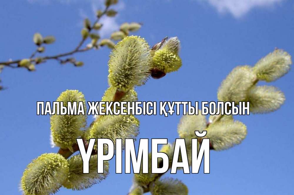 Күн сайын ашық хат с именем, ҮРІМБАЙ Пальма жексенбісі құтты болсын верба Онлайн тегін жүктеп алу тілектері бар керемет карта 