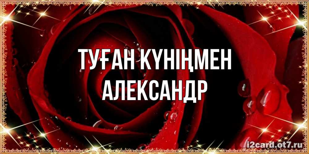 Күн сайын ашық хат с именем, Александр Туған күніңмен цветок в росе на день рождения Онлайн тегін жүктеп алу тілектері бар керемет карта 