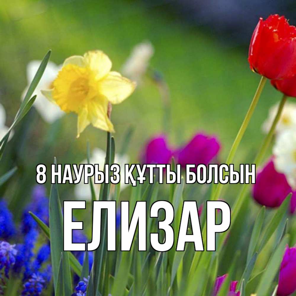 Күн сайын ашық хат с именем, Елизар 8 наурыз құтты болсын международный женский день 3 Онлайн тегін жүктеп алу тілектері бар керемет карта 