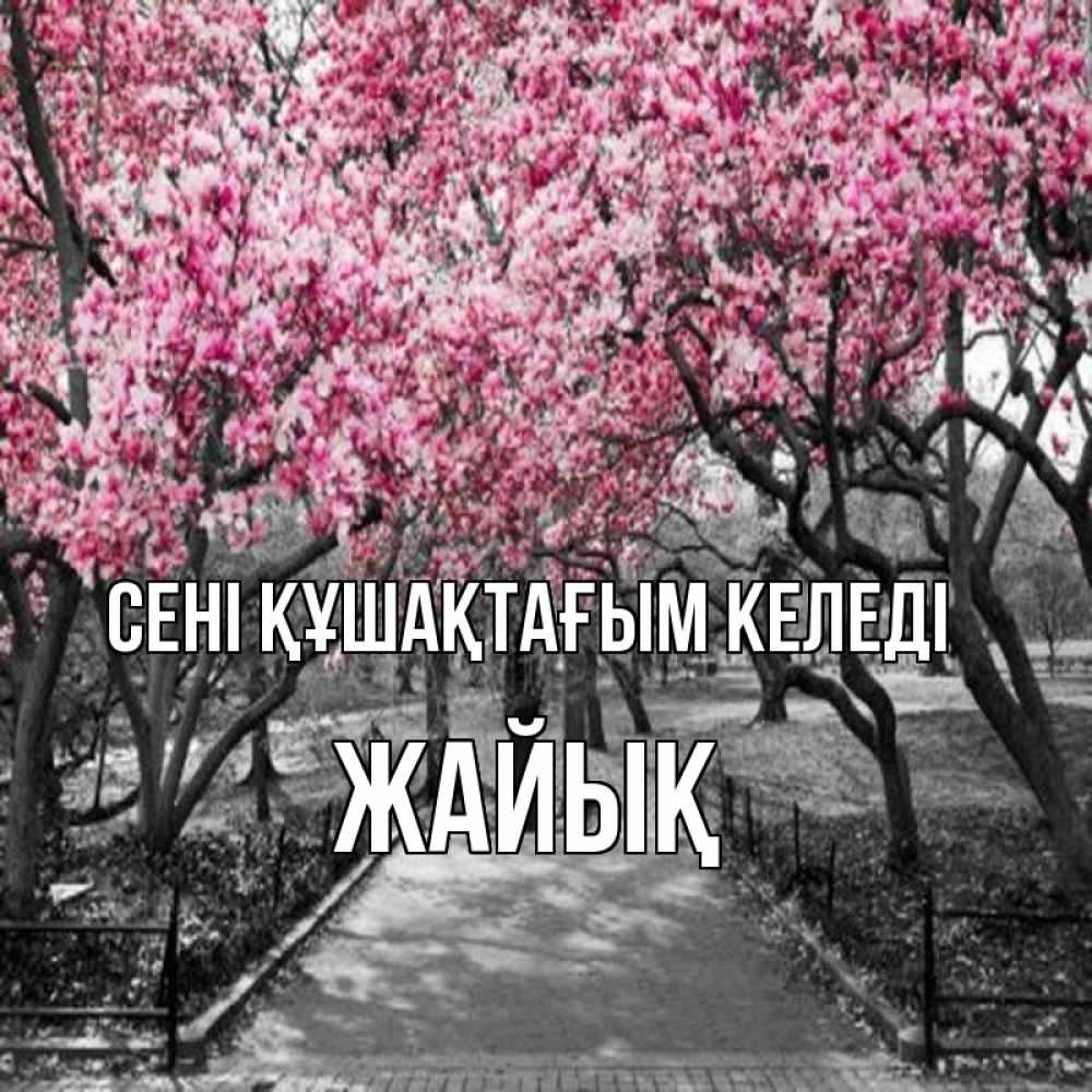 Күн сайын ашық хат с именем, Жайық сені құшақтағым келеді обработанное фото Онлайн тегін жүктеп алу тілектері бар керемет карта 