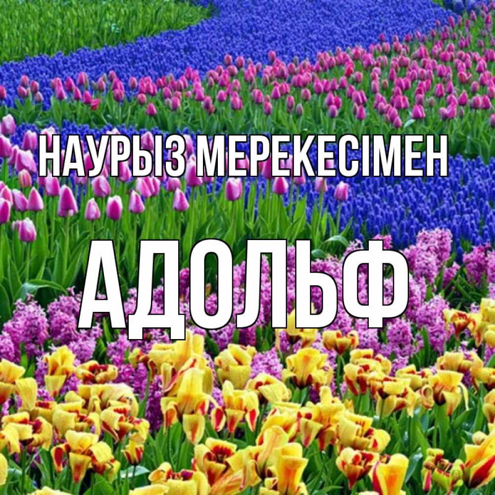Күн сайын ашық хат с именем, Адольф Наурыз мерекесімен цветы Онлайн тегін жүктеп алу тілектері бар керемет карта 