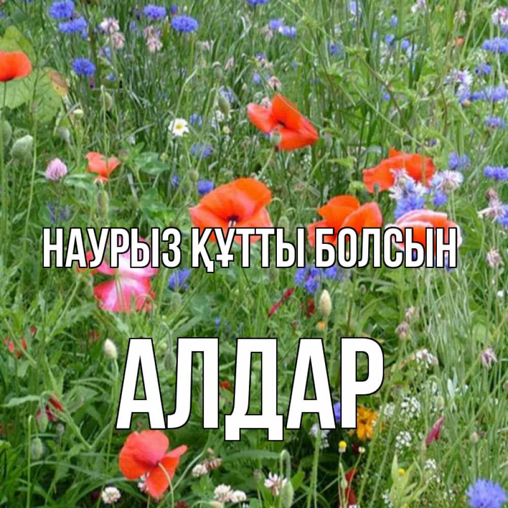 Күн сайын ашық хат с именем, Алдар Наурыз құтты болсын наурыз  4 Онлайн тегін жүктеп алу тілектері бар керемет карта 