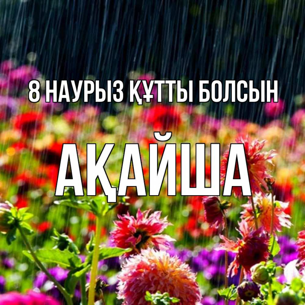 Күн сайын ашық хат с именем, АҚАЙША 8 наурыз құтты болсын цветы под дождиком к международному женскому дню Онлайн тегін жүктеп алу тілектері бар керемет карта 