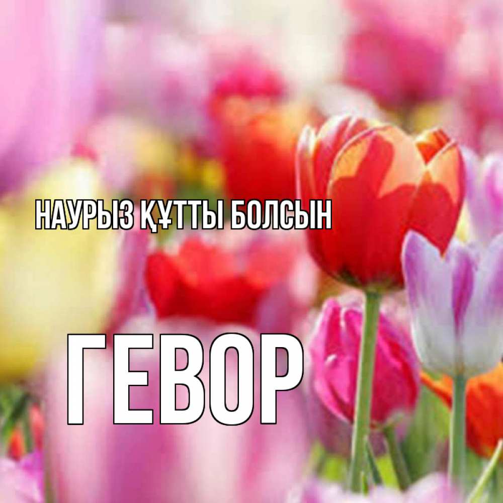 Күн сайын ашық хат с именем, Гевор Наурыз құтты болсын на наурыз  2 Онлайн тегін жүктеп алу тілектері бар керемет карта 