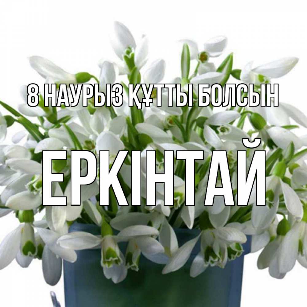 Күн сайын ашық хат с именем, Еркінтай 8 наурыз құтты болсын цветы к международному женскому дню Онлайн тегін жүктеп алу тілектері бар керемет карта 