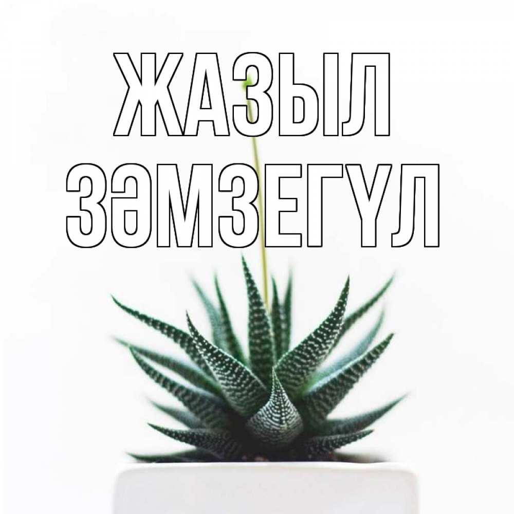 Күн сайын ашық хат с именем, ЗӘМЗЕГҮЛ Жазыл короче это непонятная колючка Онлайн тегін жүктеп алу тілектері бар керемет карта 