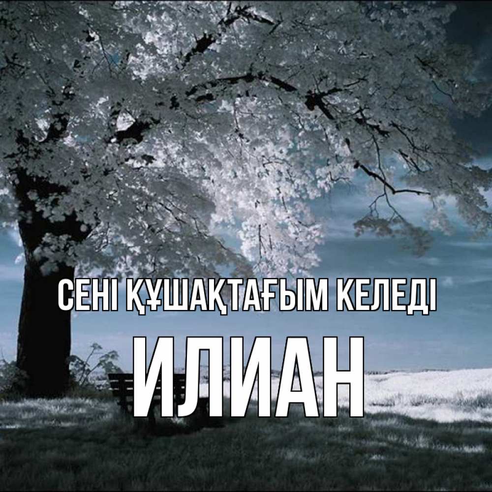 Күн сайын ашық хат с именем, Илиан сені құшақтағым келеді дерево Онлайн тегін жүктеп алу тілектері бар керемет карта 