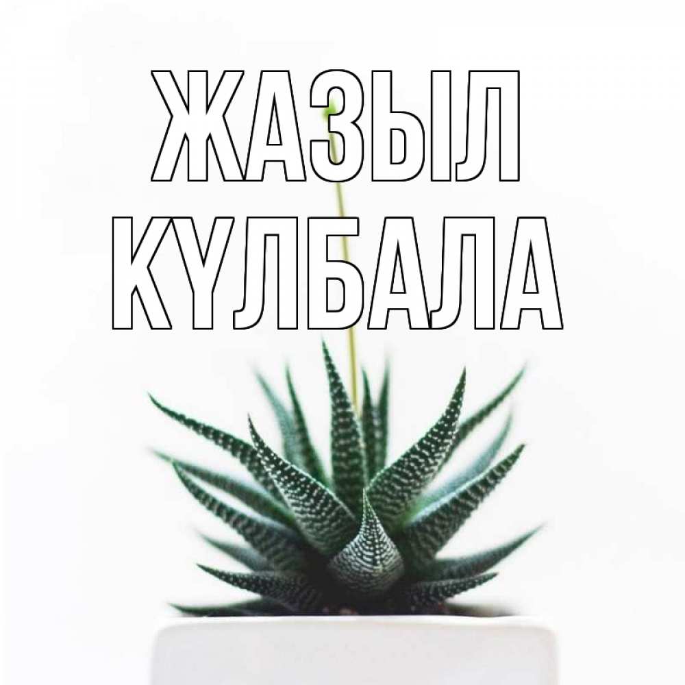 Күн сайын ашық хат с именем, Күлбала Жазыл короче это непонятная колючка Онлайн тегін жүктеп алу тілектері бар керемет карта 