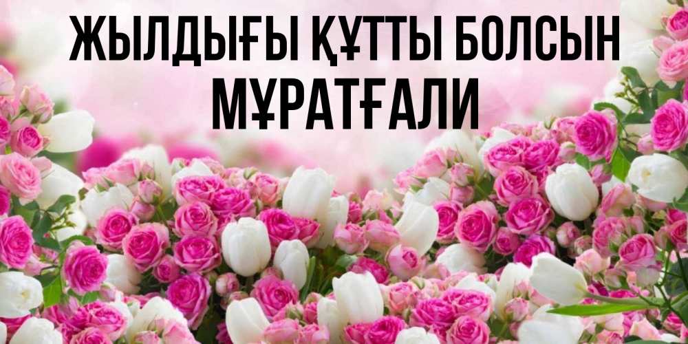 Күн сайын ашық хат с именем, Мұратғали Жылдығы құтты болсын открытка с разными розами Онлайн тегін жүктеп алу тілектері бар керемет карта 