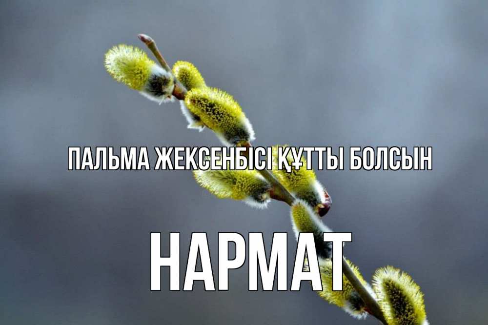 Күн сайын ашық хат с именем, Нармат Пальма жексенбісі құтты болсын верба Онлайн тегін жүктеп алу тілектері бар керемет карта 